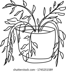 Cute hand drawn element of flower pot. Isolated doodle vector illustration house plants for wedding design, logo and greeting card. 