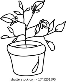 Cute hand drawn element of flower pot. Isolated doodle vector illustration house plants for wedding design, logo and greeting card. 