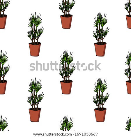 Cute hand drawn element of flower pot seamless pattern. Doodle vector illustration house plants for wedding design, logo and greeting card. Isolated on white background.