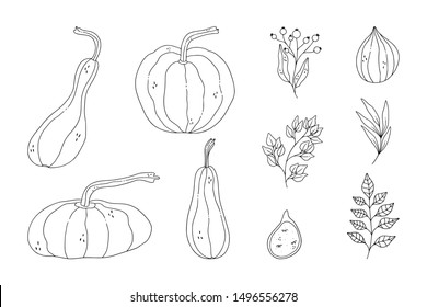 Cute Hand Drawn Fall Illustration. Pack Of Autumn Doodles In Earthy Tones. 