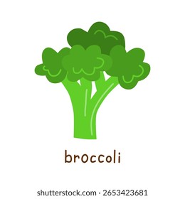 Ícone de brócolis plano desenhado à mão bonito isolado no fundo branco. Proteína alta vegana. Texto escrito à mão.