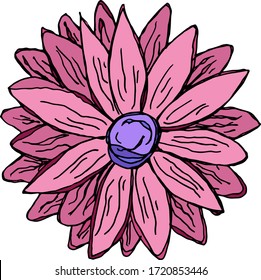 Cute hand drawn floral elements. Doodle vector illustration for wedding design, logo and greeting card. Separate on a white background.