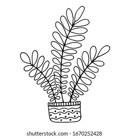 Cute hand drawn flower plant in pot. Doodle vector illustration house plants for your designes. Isolated on white background.