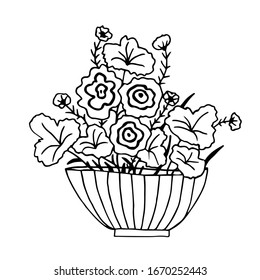 Cute hand drawn flower plant in pot. Doodle vector illustration house plants for your designes. Isolated on white background.
