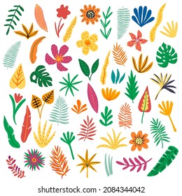 Cute Hand drawn Flowers cliparts collection. Floral elements set, botanical drawings of plants, leaves in vintage style. Vector illustration, isolated on white