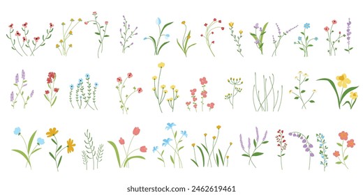 cute Hand drawn flowers and leaf with sketch line vector in Spring and summer collection