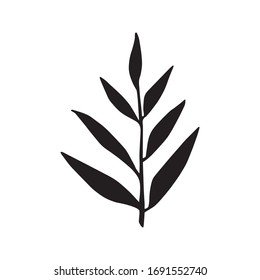 Cute hand drawn forest leaf, branch. Traditional leaves in ink, doodle style for wedding decoration and arrangements.