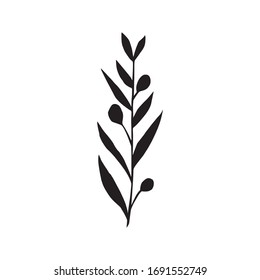 Hoja de bosque dibujada a mano, rama. Hojas tradicionales en tinta, estilo doodle para decoración y arreglos de boda.