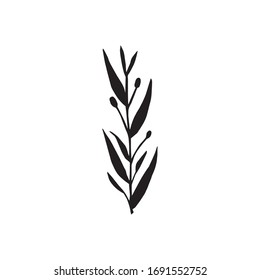 Cute hand drawn forest leaf, branch. Traditional leaves in ink, doodle style for wedding decoration and arrangements.
