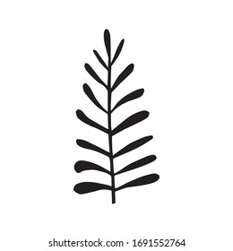 Cute hand drawn forest leaf, branch. Traditional leaves in ink, doodle style for wedding decoration and arrangements.