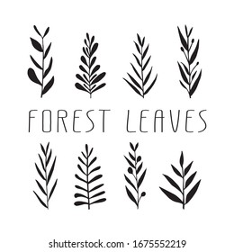 Cute hand drawn forest leaves and branch set. Traditional leaves in ink, doodle style for wedding decoration and arrangements.
