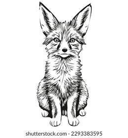Cute hand drawn fox, vector illustration black and white fox cub
