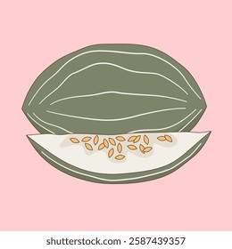 cute hand drawn green melon vegetable vector illustration isolated on pink background