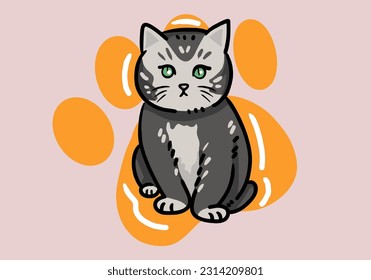 Cute hand drawn grey cat, fluffy fur, and exaggerated features. Cute adorable big eyes kitty kitten cat