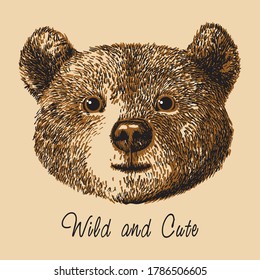 Cute Hand  Drawn Grizzly Brown Bear Cub Face. Vector Illustration.