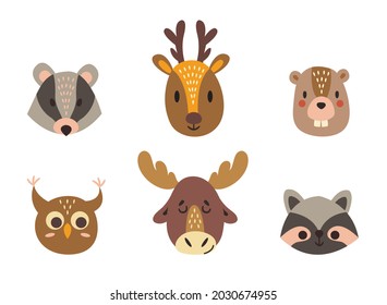 Cabezas dibujadas a mano de animales del bosque. Raccoon, badger, elk, ciervo, búho, castor. Fondo blanco, aislador. Ilustración vectorial.
