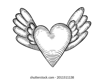 Cute hand drawn heart shape with wings. Black vintage sketch on white background.