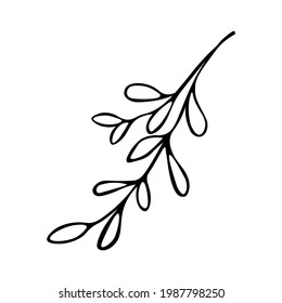 Cute hand drawn herbal elements close up. Doodle, black and white vector illustration for holiday design, wedding invitation, logo and greeting card. Decorative, botanical, graceful beauty. Trend.