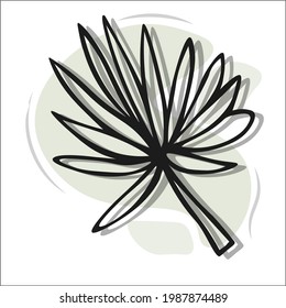 Cute hand drawn herbal elements. Decorative holly close-up on a white background. Black and white drawing. Vector illustration for decoration of works of art.