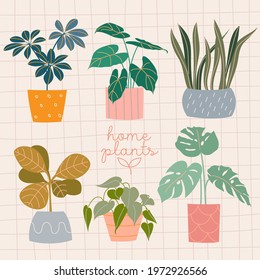 Cute hand drawn house plants set. Floral card, poster, trendy home decor print. Hygge style, urban jungle. Checkered Pattern. Schefflera, Alocasia, Sansevieria, Euphorbia, Scindapsus, Monstera