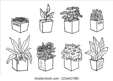 Cute hand drawn houseplant in a pot clipart. Plant illustration. Cozy home doodle set