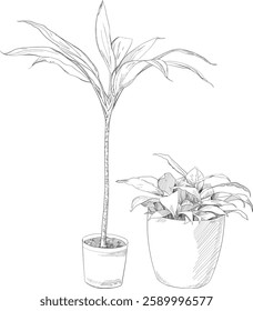 Cute hand drawn houseplant in a pot sketch illustration [Home gardening], digital composition and architecture visualisation 02