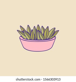 Cute hand drawn houseplant. Vector image for creative design of posters, cards, banners, invitations, websites.