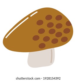 Cute hand drawn illustration with mushroom. Vector.