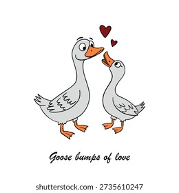 Cute hand drawn illustration of two loving geese created for Valentine’s Day