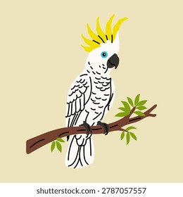 Cute hand drawn illustration of a white sulphur-crested cockatoo