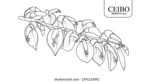 Cute hand drawn isolated Ceibo branch set 2. Flower vector illustration in black outline and white plane on white background.