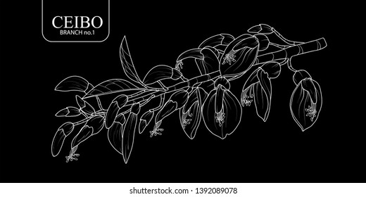 Cute hand drawn isolated Ceibo branch set 1. Flower vector illustration only white outline on black background.