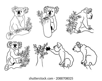Cute hand drawn koala in differet poses set. Little funny rainforest animals. Australian bear sleeping on tropical tree. line sketc. Vector illustration doodle animal. Isolated on white.  