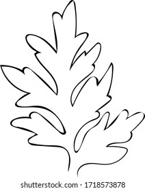 Cute hand drawn leaf in doodle style isolated on white background. Sketch elements set for graphic and web.