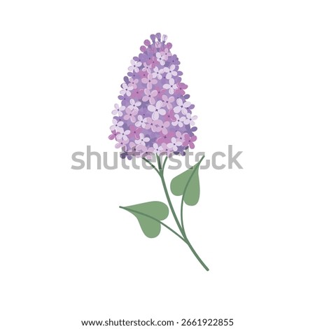 Cute hand drawn lilac branch in flat vector botanical style. Soft purple blossoms and green leaves create a charming floral composition. Ideal for cards, prints, and spring decor.