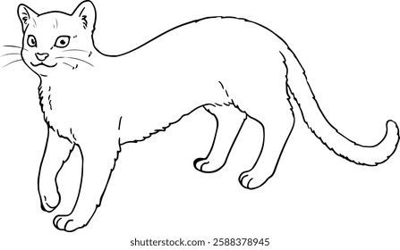 Cute hand drawn line art illustration of Jaguarundi