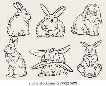 Cute hand drawn line art rabbit isolated on a transparent base, Happy Chinese new year logo