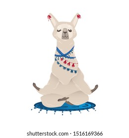 Cute hand drawn llama or alpaca sitting in relaxing yoga pose cartoon flat vector illustration isolated on white background. Funny animal for childish and holidays design.