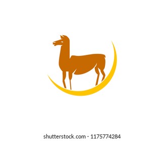 cute hand drawn llama logo vector design template