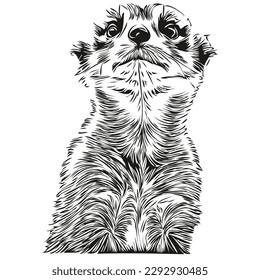 Cute hand drawn Meerkat, vector illustration black and white Meerkats
