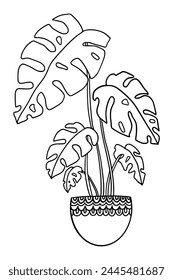 Cute hand drawn Monstera plant in pot. Vector outline drawing of House plant. urban garden concept. Tropical plant used in the interior. Design element isolated