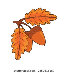 Cute hand drawn oak acorn with warm orange autumn leaves in cozy seasonal style, perfect for thanksgiving, harvest, fall nature themes, print designs, and decorations.