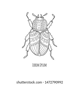 Cute hand drawn ortate beatle. Vector coloring page. 