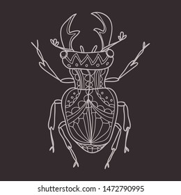 Cute hand drawn ortate beatle. Vector coloring page. 