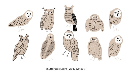 Cute hand drawn outlined owls. Forest birds. Perfect for t-shirt, apparel, cards, poster, nursery decoration. Vector Illustration