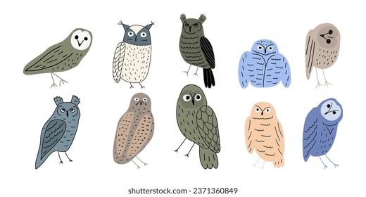 Cute hand drawn outlined owls. Forest birds. Perfect for t-shirt, apparel, cards, poster, nursery decoration. Vector Illustration