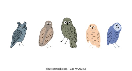 Cute hand drawn outlined owls. Forest birds. Perfect for t-shirt, apparel, cards, poster, nursery decoration. Vector Illustration