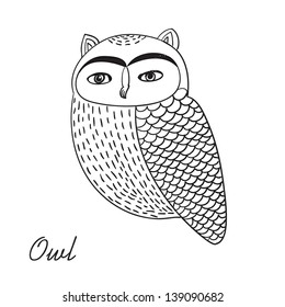 Cute Hand Drawn Owl Bird Illustration