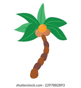 Palmera dibujada a mano con cocos. Fondo blanco, aislado.