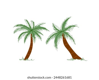 Cute hand drawn palm tree. Flat vector illustration isolated on white background. Doodle drawing.